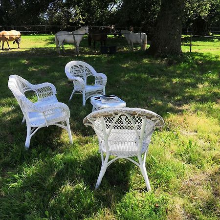La Marquise Penchee Bed & Breakfast Orsennes Exterior foto
