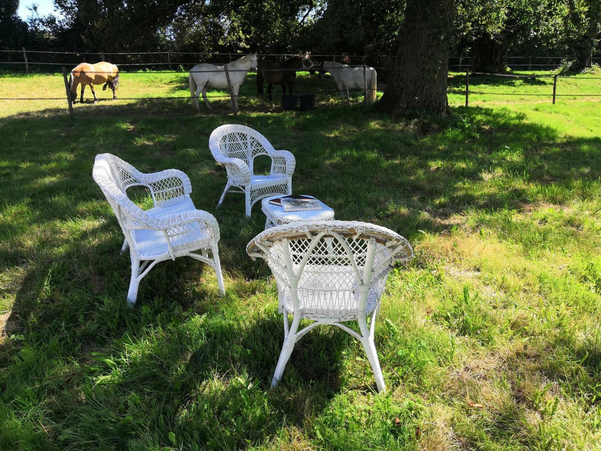 La Marquise Penchee Bed & Breakfast Orsennes Exterior foto